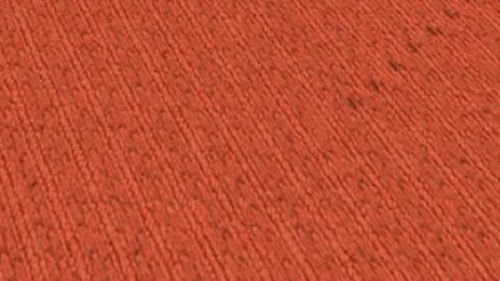 Strong Durable Elastic Anti-Slip Nylon Carpet For Residential And Commercial Flooring