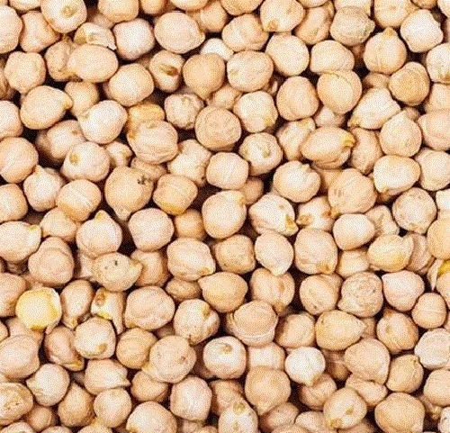 99% Pure Organic Dried Round Whole Kabuli Chana Admixture (%): 5%