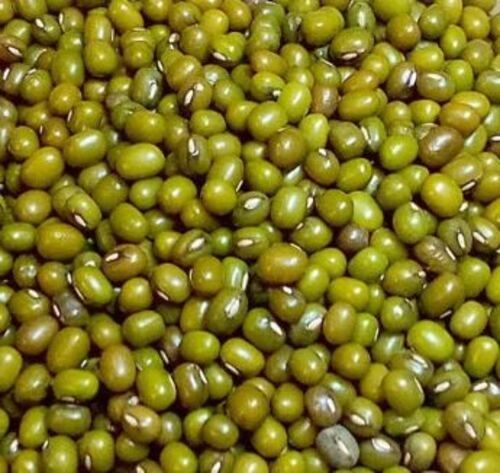 Indian Origin Commonly Cultivated Whole Dried Moong Dal 