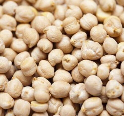 Natural And Pure Organic Cultivated Whole Kabuli Chana Admixture (%): 1%