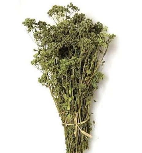 100% Natural And Organic Dried Oregano Leaves With 2 Year Shelf Life