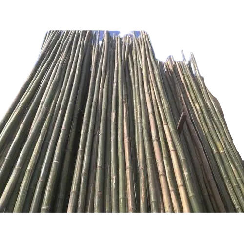 Green 15 Feets Eco Friendly Biodegradable Classic Natural Stackable Bamboo Pole