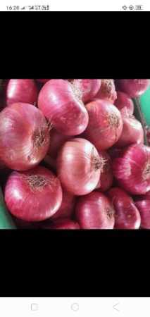 Chemical Free Red Onion