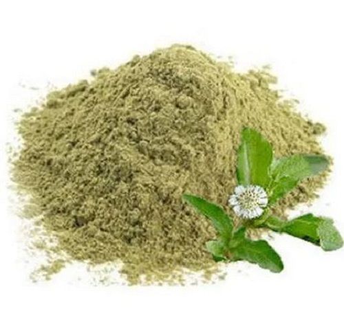 Dried 99 % Pure Organic Bhringraj Powder