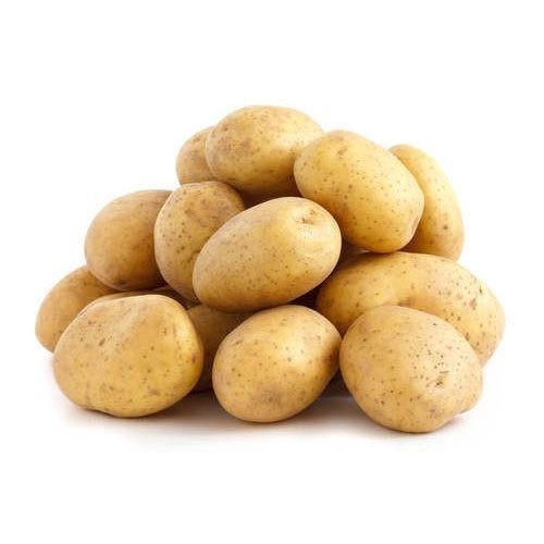 Pure And Natural Oval Raw Fresh Potatoes With One Week Shelf Life