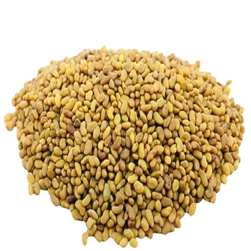 99% Pure Raw And Dried Alfalfa Seed For Agriculture Use