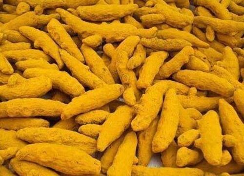 Yellow Organic Cultivated Hot And Spicy Taste Dried Turmeric Finger At