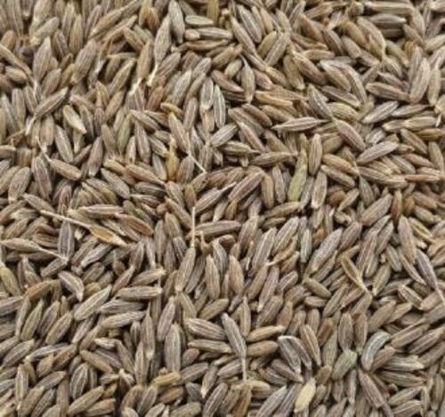 Pure And Natural Organic Raw Dried Cumin Seeds