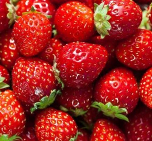 A Grade 100 Percent Purity Indian Origin Naturally Grown Fresh Sweet Strawberry Fruit