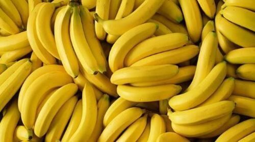 A Grade Indian Origin Common Cultivated 100 Percent Pure Fresh Sweet Yellow Banana