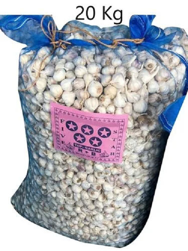 Organically Cultivated Naturally Grown Healthy B-Grade Raw Fresh Garlic Moisture (%): 14%