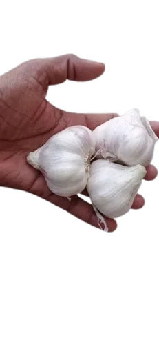 Pungent Strong Flavor Aromatic Bitter Taste Fresh Raw A-Grade Garlic For Cooking Moisture (%): 14%