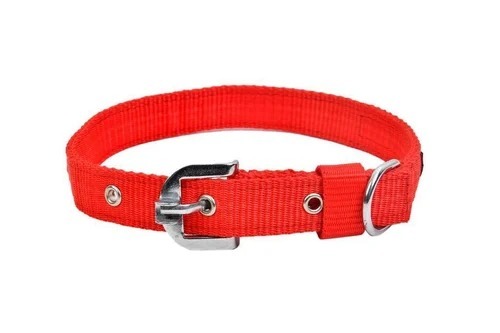 Red 22 Inches Polished Stainless Steel Buckle Polyester Lightweight Dog Collar