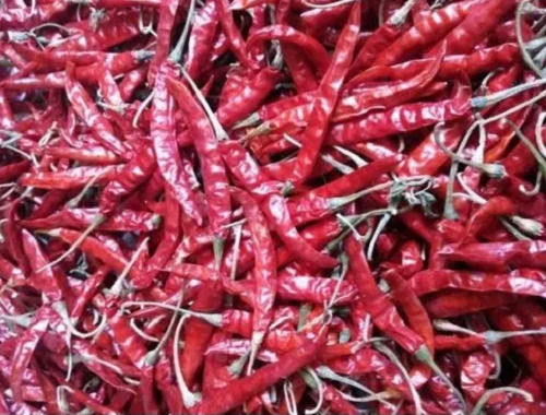 Dried Raw Earthy And Hot Taste Teja Red Chilli