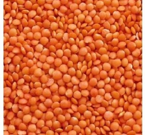 99% Pure Organic Dried Raw Round Red Lentils