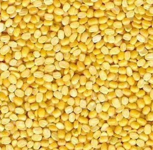 99%Pure Organic Dried Whole Round Moong Dal