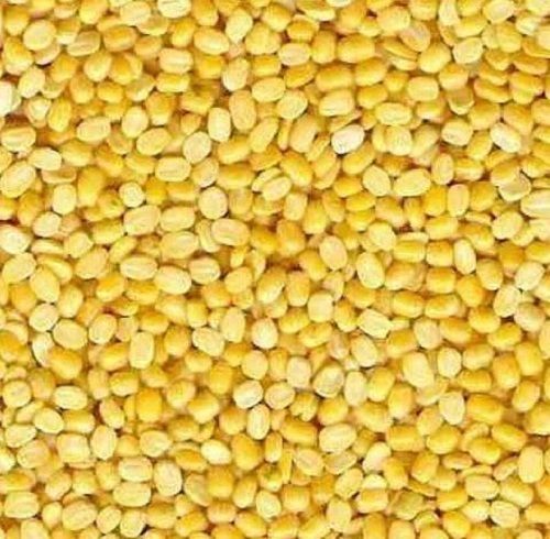 99%Pure Organic Dried Whole Round Moong Dal Admixture (%): 5%