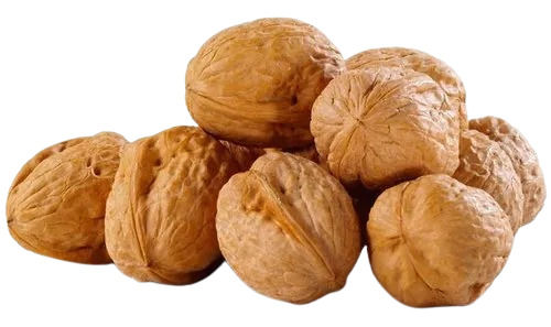 Dried And Natural Common Cultivation Protein Rich Walnut Broken (%): 00