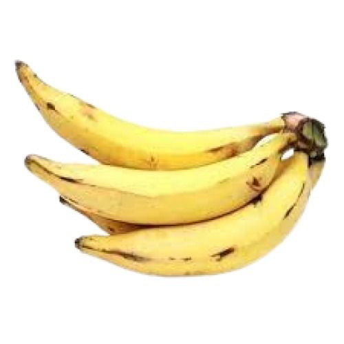 8 Inch Size Long Shape Sweet Yellow Nendran Banana