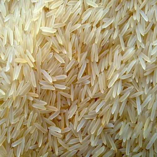 99% Pure Commonly Cultivated Medium Grain Pusa Rice With 12 Month Shelf Life