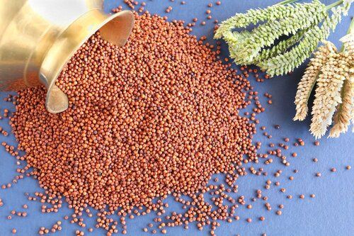 High Protein Red Finger Millet Seed Purity: 99.99%