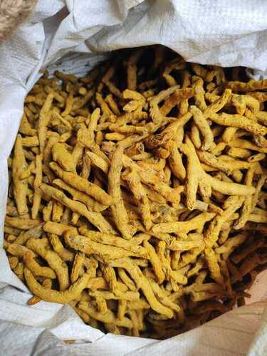 Natural Yellow Raw Turmeric For Cooking And Medicine Use