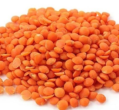 Natural And Healthy 9.5% Moisture Round Organic Dried Masoor Dal