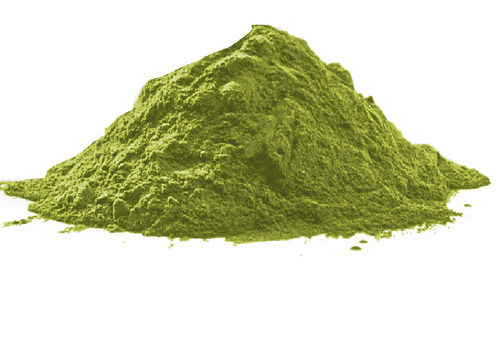 Pure Organic Wheat Grass Powder Industrial