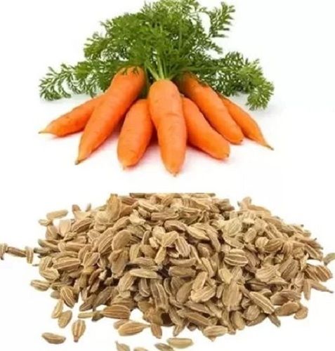 8.0% Moisture Organic Dried Hybrid Carrot Seeds