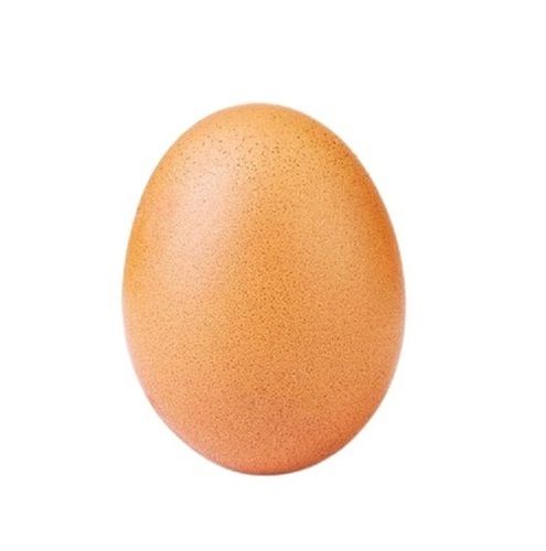 Fresh Oval Brown Country Egg