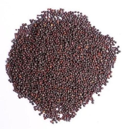 Brown Organic Raw Dried Mustard Seeds