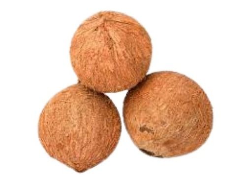 Brown Round Full Husked Coconut