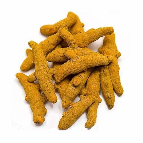 Yellow Natural Bitter Taste Dried Raw Turmeric Finger