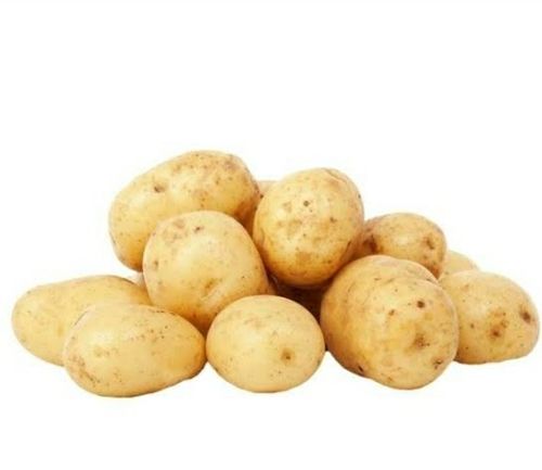 A Grade Floury Texture Full Mature Fresh Potato