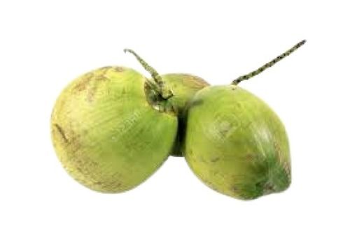Rich In Taste Green Whole Tender Coconut