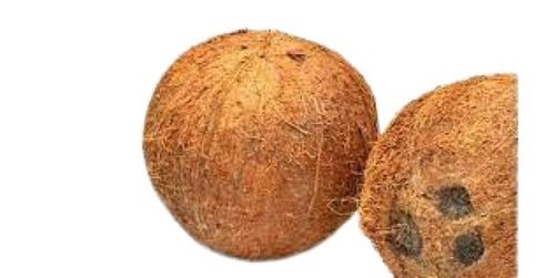 Round Brown Full Husked Coconut