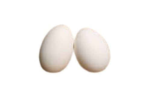Duck Origin Oval Shape White Fresh Duck Eggs