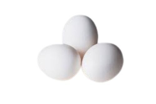 Healthy White Poultry Fresh Eggs Egg Size: Medium