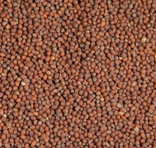 99% Pure And 2% Moisture Dried Brown Mustard Seeds