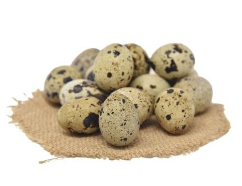 Black And Brown Oval Shape Fresh Duck Eggs