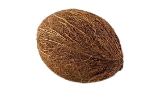 Common Cultivation Full Husked Round Shape Fresh Brown Coconut