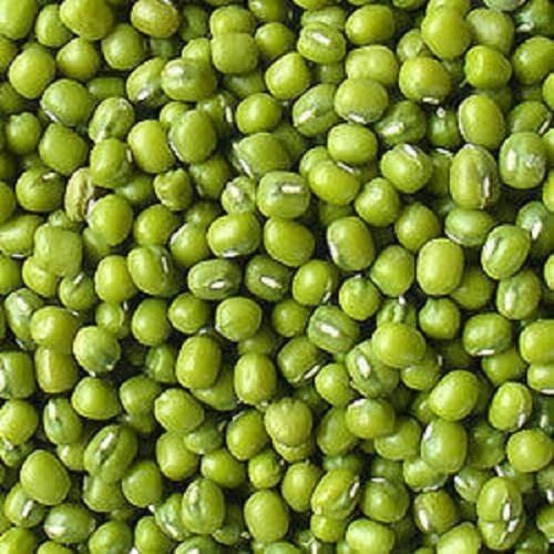  9.5% Moisture Indian Origin 100% Pure 2.5 Mm Grain Size Green Moong