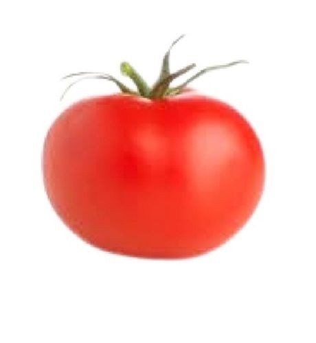 Fresh Naturally Grown Round Shape Red Tomato