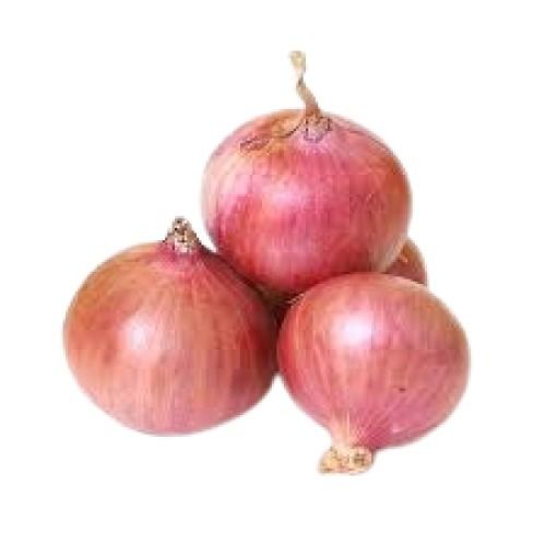 Fresh Round Shape Naturally Grown Brown Raw Onion