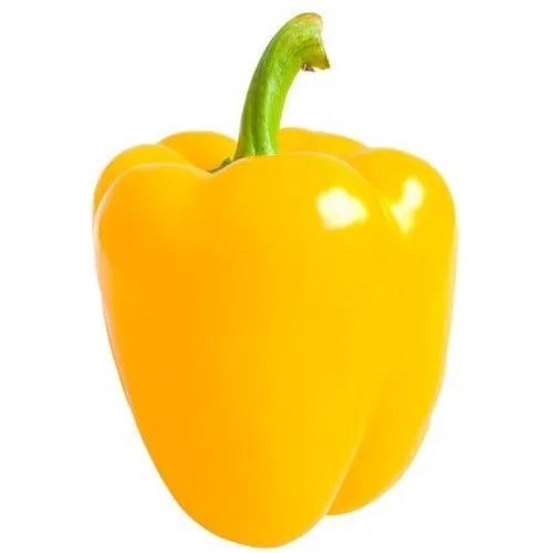 Common Cultivated 80% Moisture Seasoned Raw Capsicum With One Week Shelf Life 