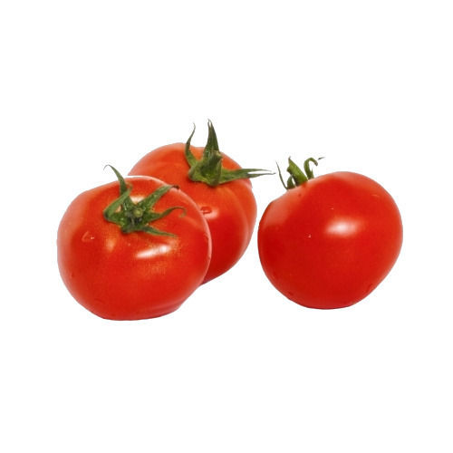 Common Cultivated 90% Moisture Seasoned Raw Fresh Tomato With One Week Shelf Life 