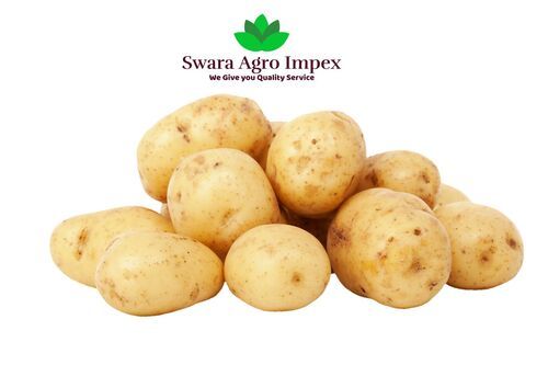 Export Quality 50Mm Small And Big Size Gujarat Potato Shelf Life: 25 Days From Date Of Packing Hours