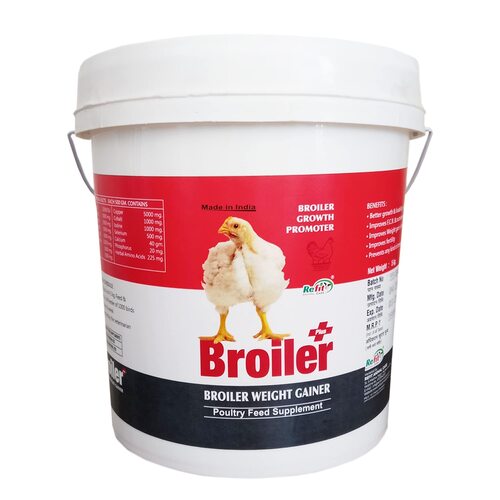 Broiler Chicks at Best Price in Patna, Bihar All Hind Services