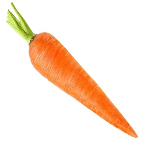 Naturally Brown Long Shape Fresh Carrot