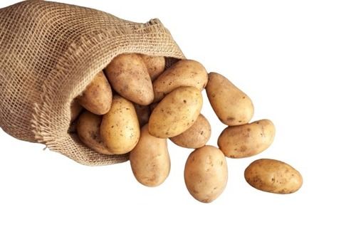 Oval Shape Naturally Grown Brown Fresh Potato Moisture (%): 63-83%